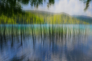 Lake Reeds