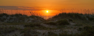 Sunrise In The Valley Of The Dunes